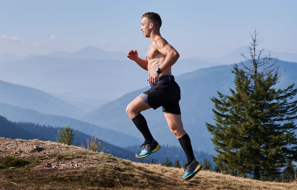 Que es immunocal y porque no es una proteina mas